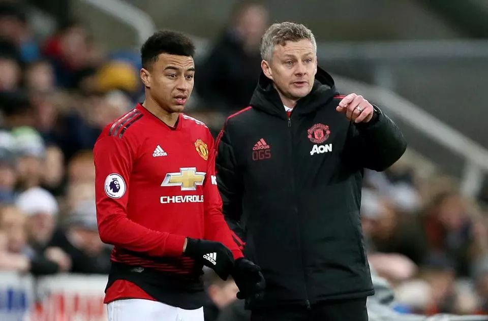 交流和展示 交流和展示